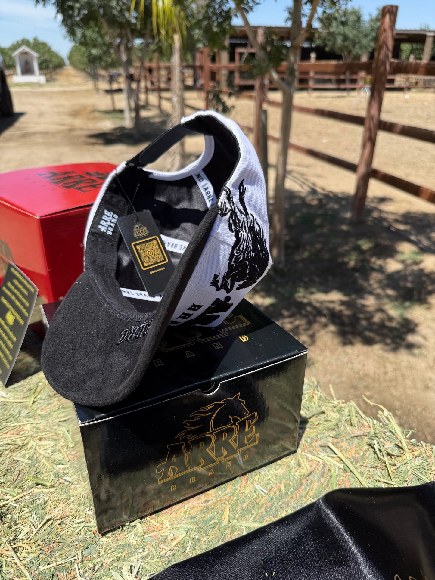 Edición Prime + 1 entrada 🎟️