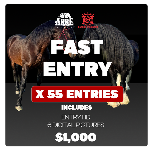 55 entradas  🎟️