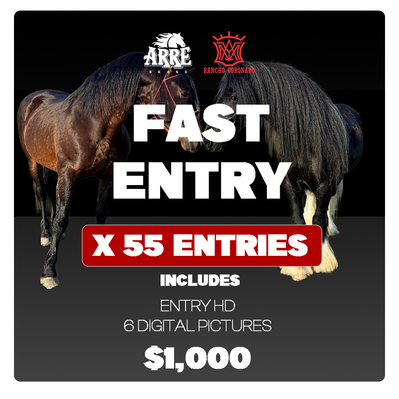 55 entradas  🎟️