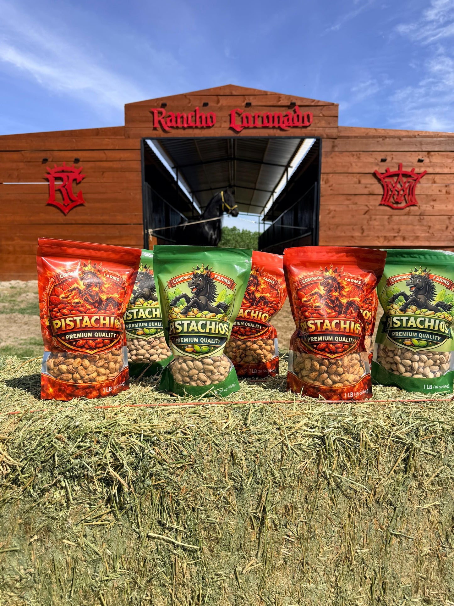 PISTACHOS - ARRE - Salados🧂  y con Chile 🌶️ - SOLO PISTACHOS