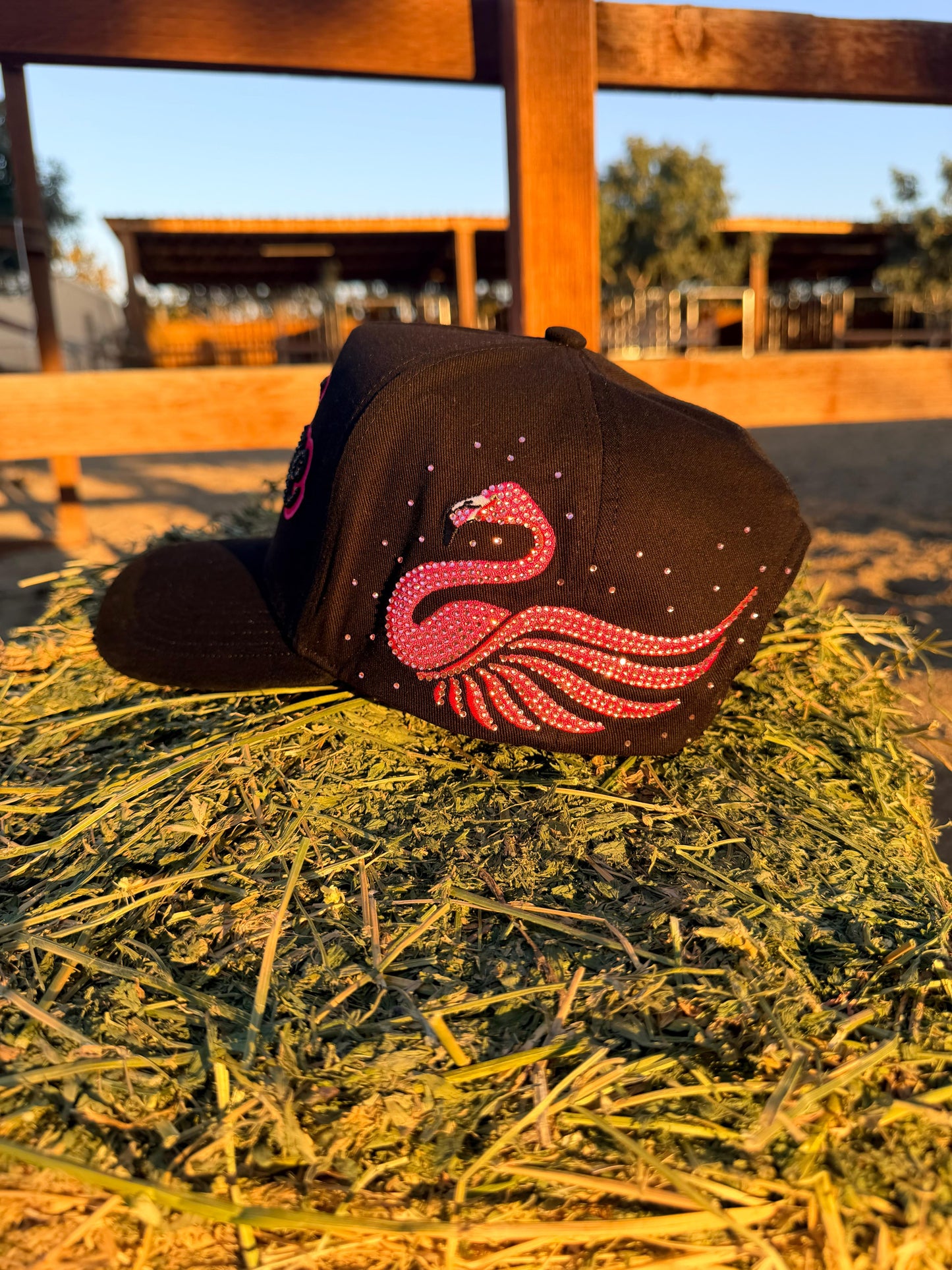 Arre Negra+ 1 entrada 🎟️