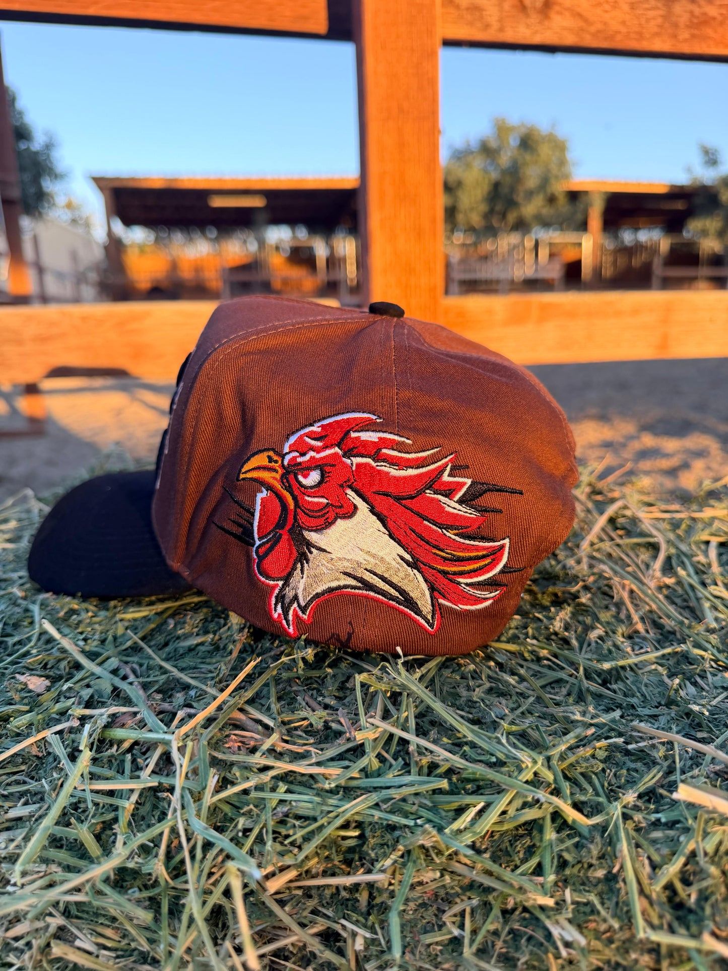 Arre Gallo + 1 entrada 🎟️